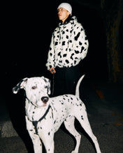 Load image into Gallery viewer, Dalmatian Reversible Jacket
